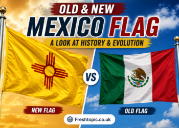 new mexico flag
