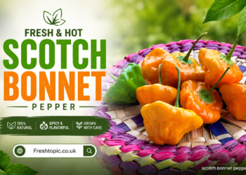 scotch bonnet pepper