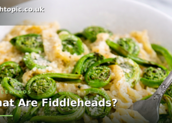 fiddleheads