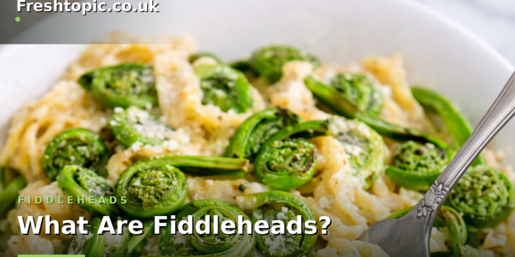 fiddleheads